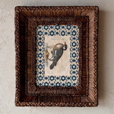 Gusto Woven Frame with Aldrovandi Hand-Colored Ornithological Engraving XLIX