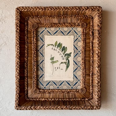 Gusto Woven Frame with 18th C. Phillip Miller Botanical Hand-Colored Engraving VI