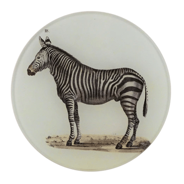 Zebra 118 5 1/4" Round