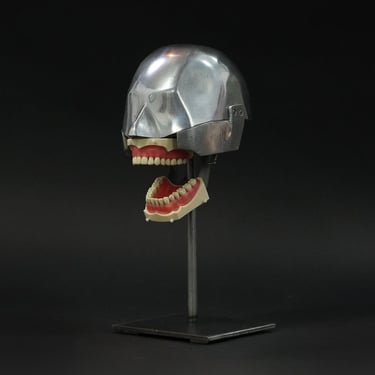 Classic Columbia Dentoform Aluminum Dental Phantom