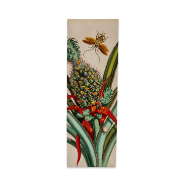 Plate 1 - Dissertation in Insects Generations | Bookmarks