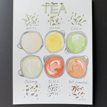 Six Types of Tea Original Watercolor Painting