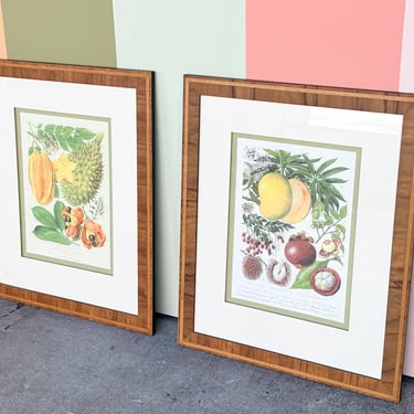 Pair of Colorful Fruit Framed Prints