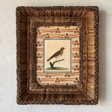 18th C. Eleazar Albin Handcolored Ornithological Engraving in Gusto Wo​ven Frame VII