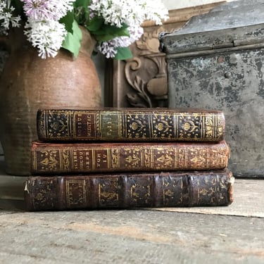 18th C French Leather Bound Book, Gilded Raised Spine, Chateau Decor, 18th C Antiquarian Books, Sold by Each Book 
