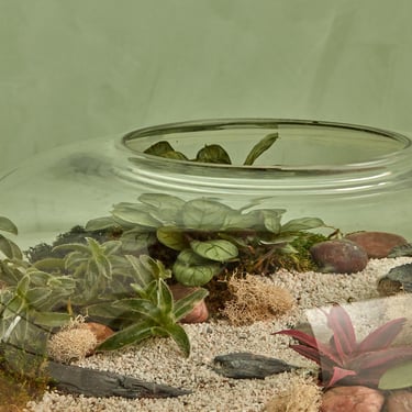 Create and Donate: Terrariums for Charity 8/17 @ REWILD Warehouse