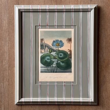 19th C. Diminutive Engraving of Dr. Robert Thornton Hand-Colored Floral Botanicals of The Blue Egyptian Water Lily in Gusto Painted Frame