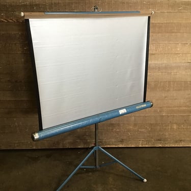 Da-Lite Small Home Projector Screen (Tacoma)