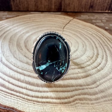 IN THE SHADOWS Sterling Silver and Turquoise Ring | Native American Navajo Southwestern Jewelry | E Sterling Hallmark | Size 9 