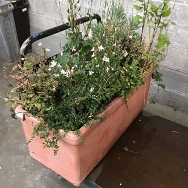 Instant Decorative Planter Garden (Seattle)