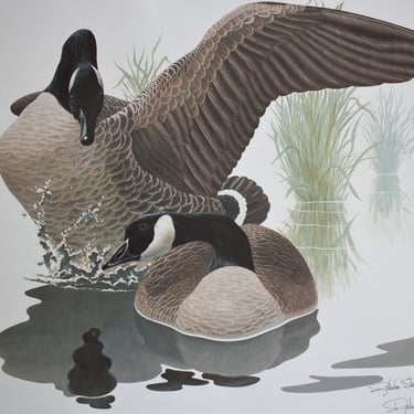 Authentic Signed Richard Sloan Off Set Lithograph Canada Goose 28