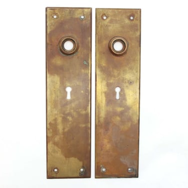 Pair of Vintage 9.5 in. Brass Door Back Plates