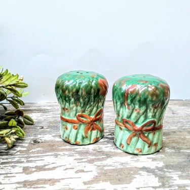 Vintage Asparagus Salt and Pepper Shaker/Condiment Set/Ceramic Shaker Set/Kitchen/ Hand Painted 