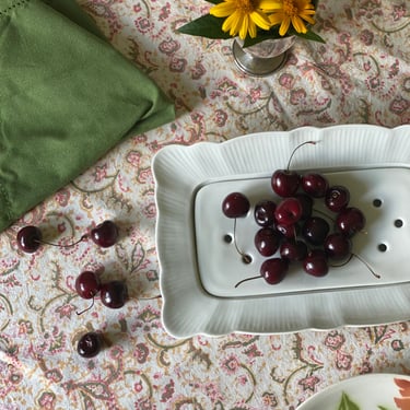 1920s French pillivuyt porcelain asparagus & berry plate