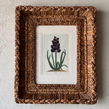 Gusto Woven Frame with 18th C. Dr. Buchoz Botanical Engraving of La Noire