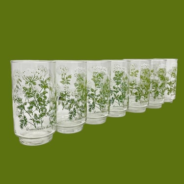 Vintage Drinking Glasses Retro 1970s Bohemian + Libbey + Queen Annes Lace + M.Dia + Clear Glass + Flower Design + Set of 7 + Water Tumblers 