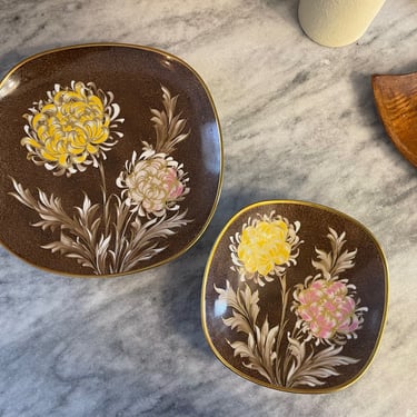 Vintage Porcelain Floral Plates 
