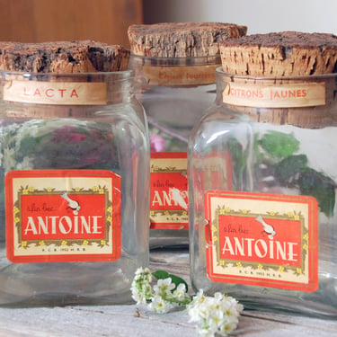 Antique apothecary candy jar / 1900s Antoine Brussels large glass jar / vintage candy storage jar / vintage imported drug store bottle 