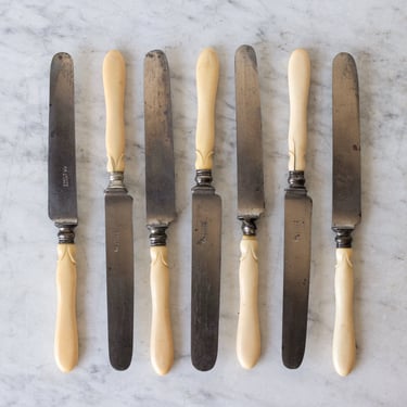 Bone Handle French Knife Set of 7