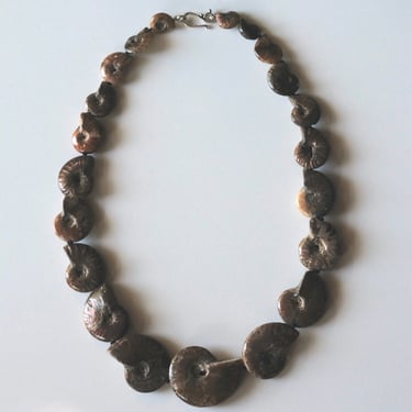 Substantial Fossil Shell Necklace