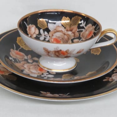 Rudolf Wachter Kirchenlamitz Porcelain Floral Tea Cup Saucer Dessert Plate 3251B