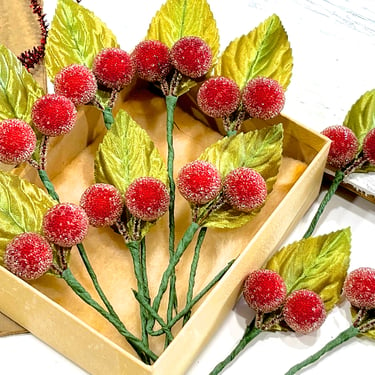 VINTAGE: 12 Sugared Berry Leaf Picks - Fruit Stems - Corsages, Millinery, Floral Arrangements - Crafts - SKU 