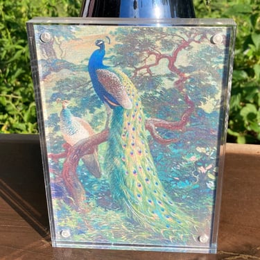 Double-Sided Peacock Artwork in Acrylic Frame