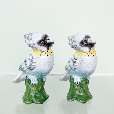 Pair of Petite Italian Ceramic Parakeets