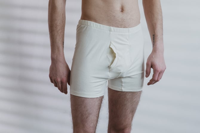 Organic Hemp Brief or Boxer Brief, Mens Underwear, Organic Cotton Blend Trunk 