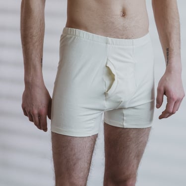 Organic Hemp Brief or Boxer Brief, Mens Underwear, Organic Cotton Blend Trunk 