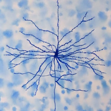 Pyramidal Cell after Cajal- original watercolor painting of neuron - neuroscience art 