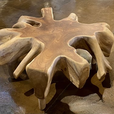 Beautiful Teak Root Coffee Table from Terra Nova Designs Los Angeles 