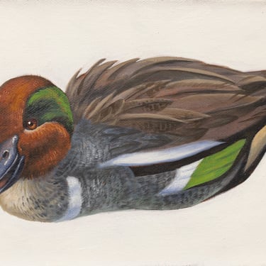 Kerry R. Thompson | Green Winged Teal