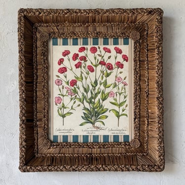 17th C. Hand Colored Besler Engraving of Frittillaria in Gusto Woven Frame IV