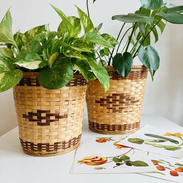 Lined Basket Planters