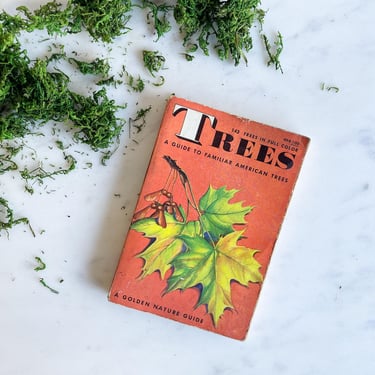 Vintage Golden Nature Guide Trees Book Arboretum Dendrology Hiking 1950s Fall Winter Decor Display Mid Century Paperback Book Orange 