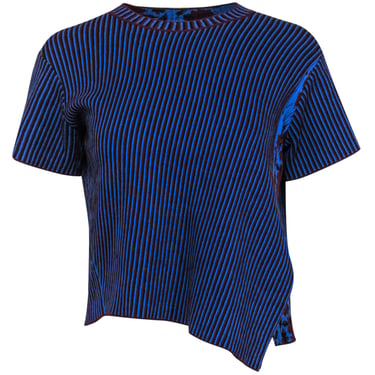 Acne Studios - Blue & Maroon "Jana" Striped & Floral Knit Top Sz XS