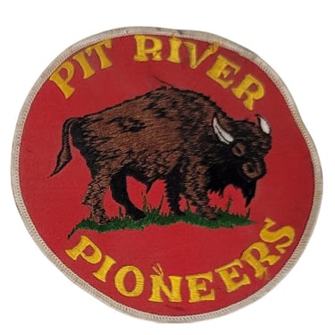 Pit River Poneers Buffalo Bison 5