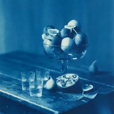 Framed Editioned Cyanotype Photography by John Dugdale