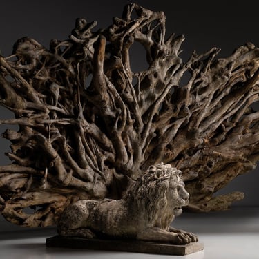 Massive Root Sculpture, 136 Inches