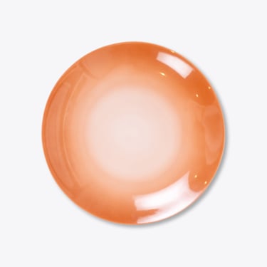 Haze Dinner Plate | Rent | Terracotta