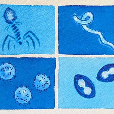 Blue Viruses - original watercolor painting - microbiology art 