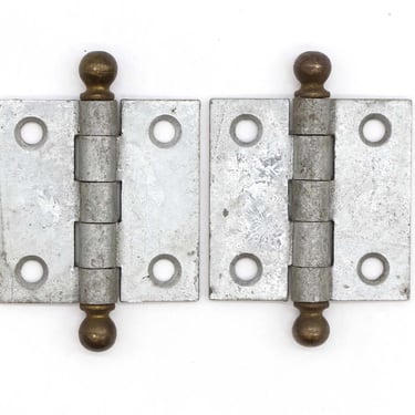 Pair of 2 x 2 Steel Cabinet Hinges with Brass Ball Tips