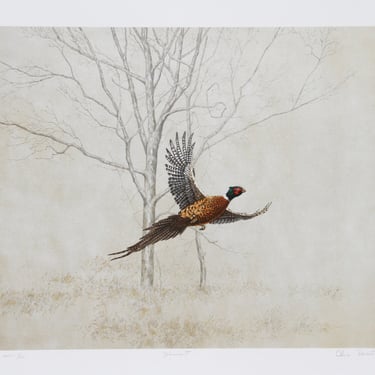 Chris Forrest, Pheasant, Lithograph 