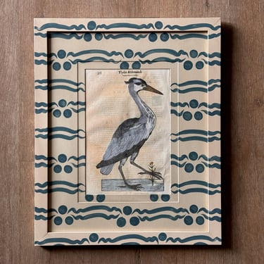 Aldrovandi Hand-Colored Bird Engraving in Gusto Painted Frame and Mat I
