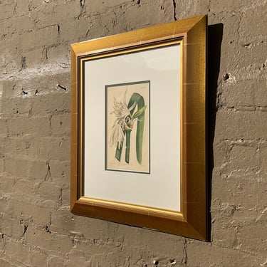 Framed Botannical