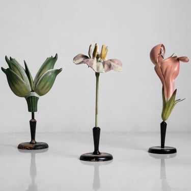Botanical Models of Flowers