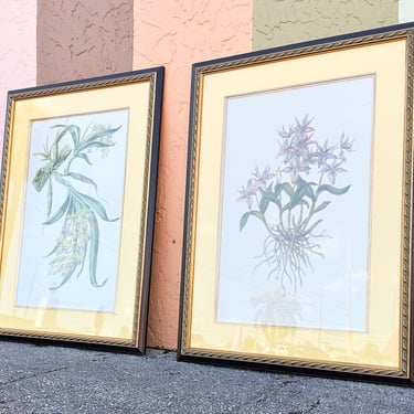 Pair of Botanical Prints from The Breakers