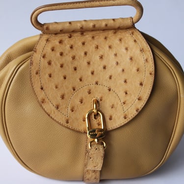 Incredible Delvaux Ostrich-Accent Leather Purse