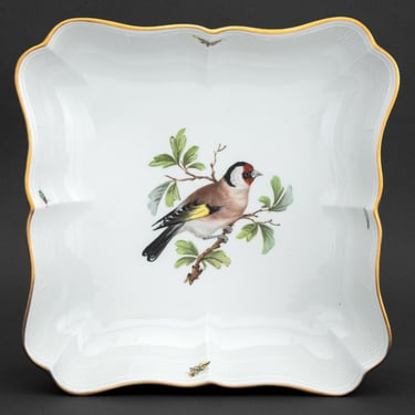 Meissen Porcelain Rothschild Bird Square Dish